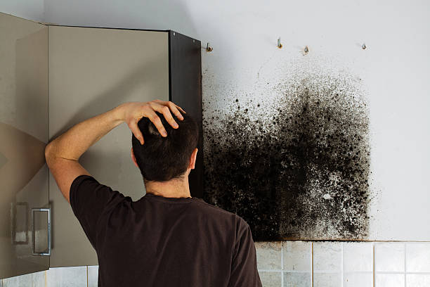 Mold Testing and Removal in College Station, TX